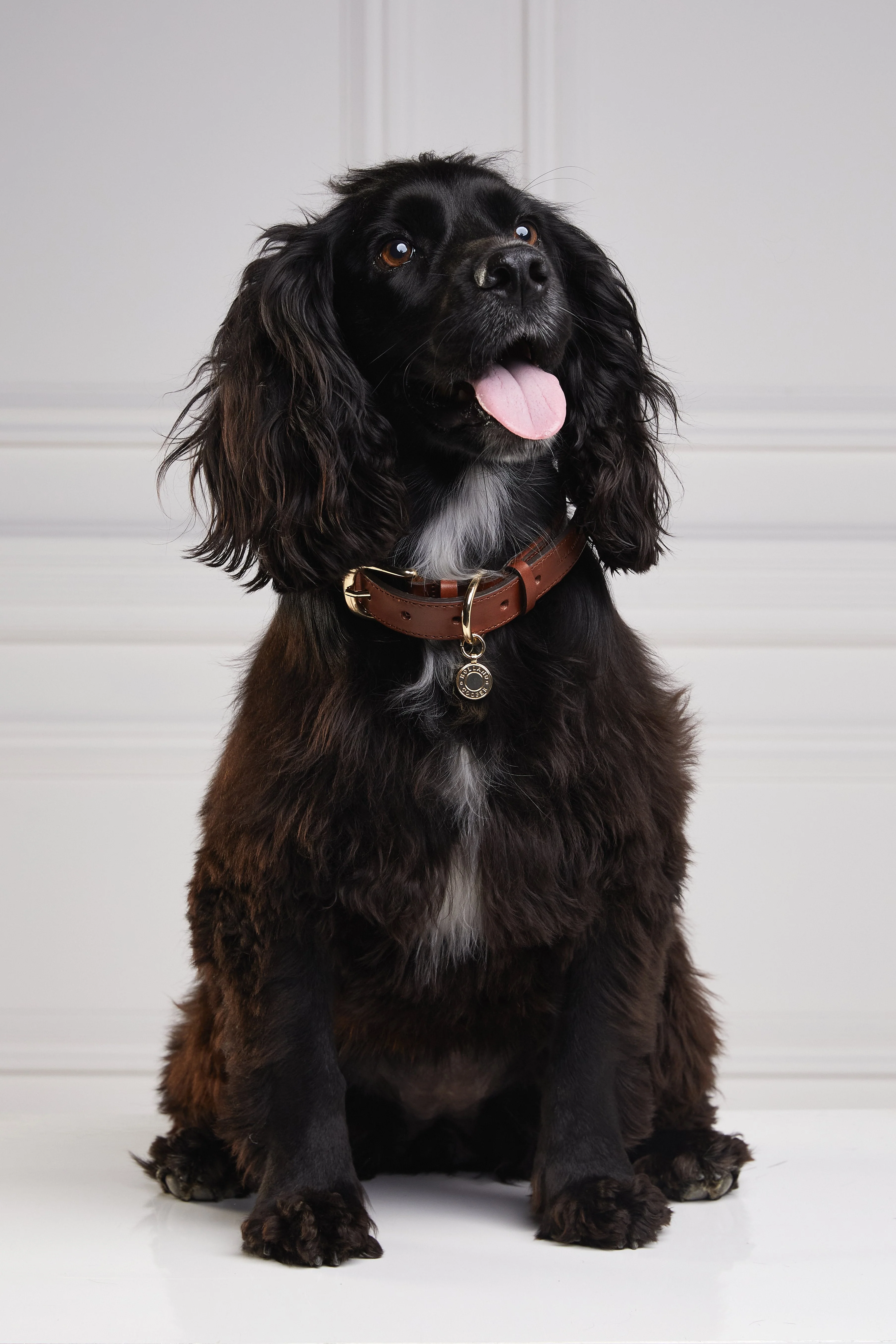 HC Classic Dog Collar (Chestnut & Tweed) - Image 3